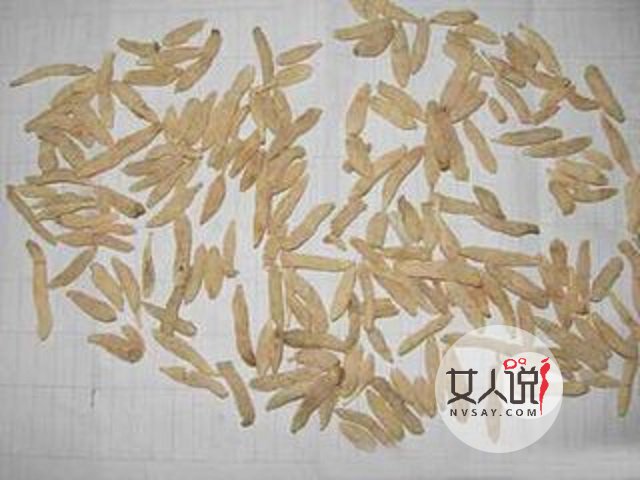 麦冬的功效与作用,夏天解决燥热的小秘密。