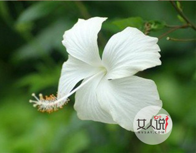 女性朋友看过来,关于月经周期小知识开讲啦!