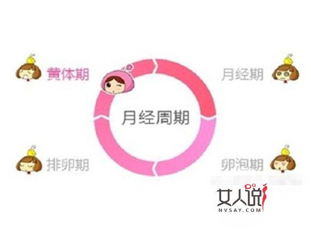 女性朋友看过来,关于月经周期小知识开讲啦!
