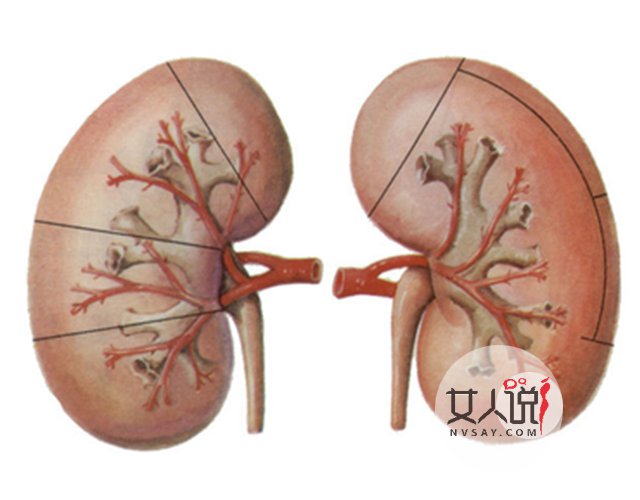 健康助手帮您预防疾病:肾病综合征有哪些?