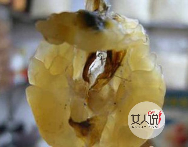 神厨小帮手:养生美食雪蛤做法大盘点