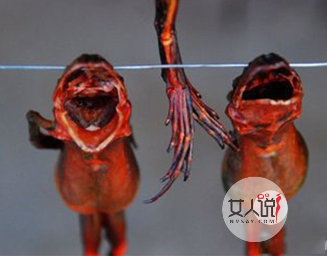 神厨小帮手:养生美食雪蛤做法大盘点