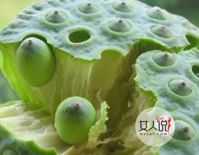 养生课堂开讲啦:莲子的功效与作用?