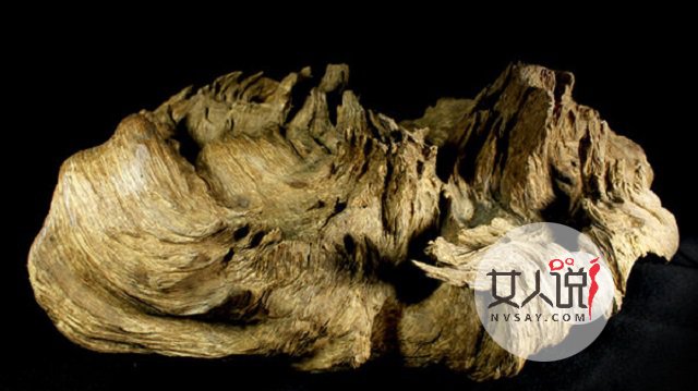 沉香乃是香料也?功效大大的药才也!