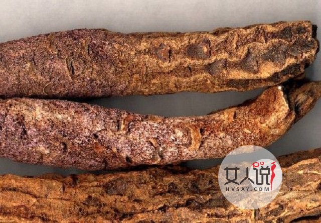 锁阳的功效与作用,传说中的“不老药”!