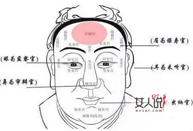 财运好不好还得看五官?长得好钱财自然多!