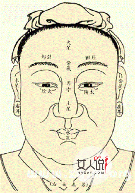 财运好不好还得看五官?长得好钱财自然多!