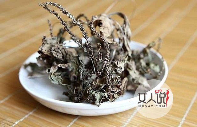 车前草的功效与作用不知道？田间随处可见的好药！