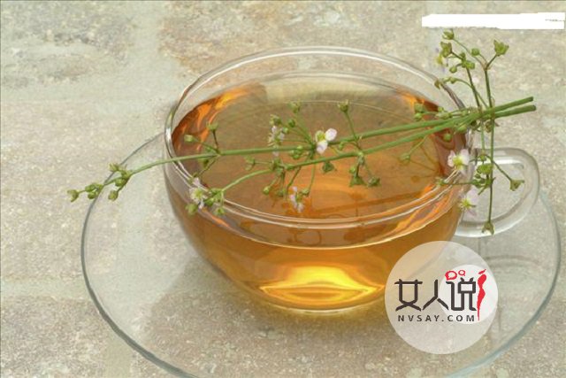 车前草的功效与作用不知道?田间随处可见的好药!