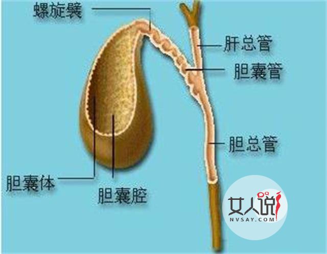 胆红素高是怎么回事?这里有你想知道的答案!