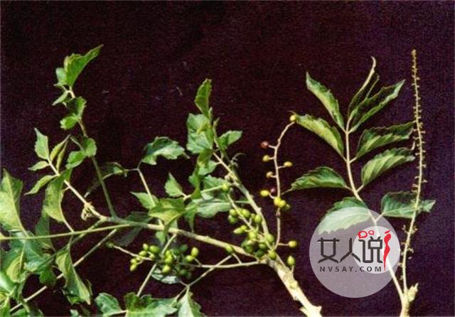 胆红素高是怎么回事？这里有你想知道的答案！