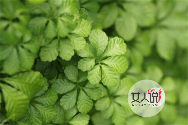 胆红素高是怎么回事?这里有你想知道的答案!