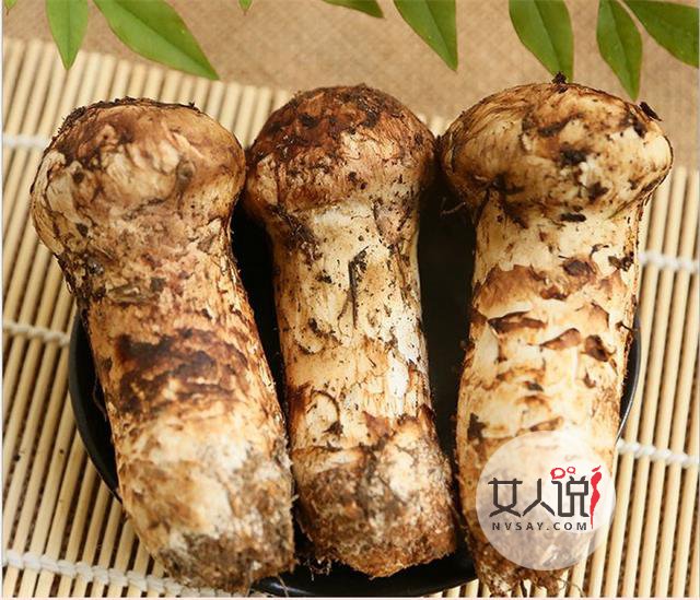 松茸知识大普及,想了解的看这里!