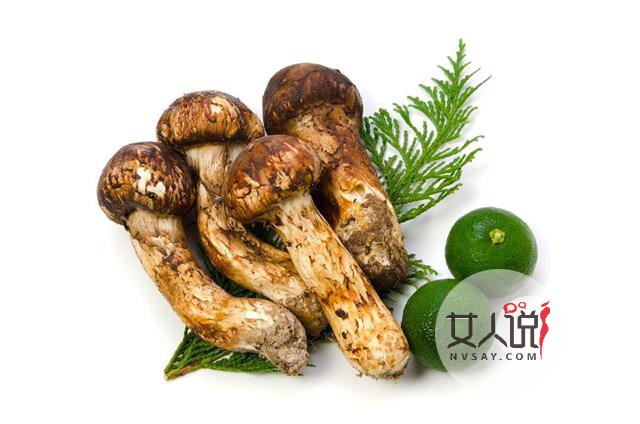 松茸知识大普及,想了解的看这里!