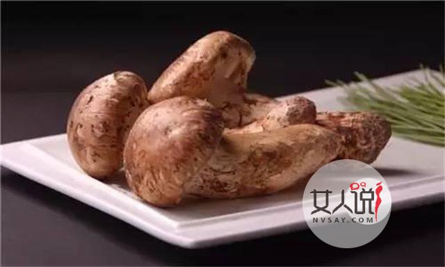 松茸知识大普及,想了解的看这里!