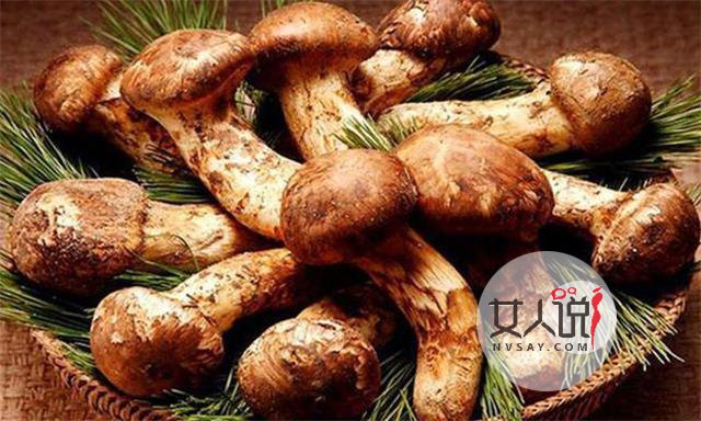 松茸知识大普及,想了解的看这里!