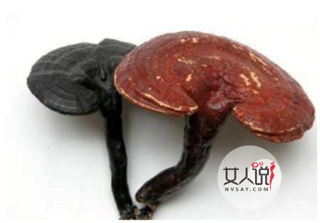 灵芝是个好东西,灵芝的功效与作用看这!