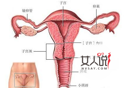怕阴道炎会找上门来吗？如何预防阴道炎