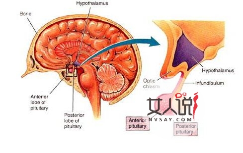 食道炎是什么?你知道食道炎的症状吗?