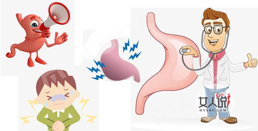 你知道你的胃在哪吗?来看看胃在哪个位置图
