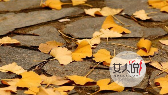 你知道银杏叶片的功效与作用吗?快来看看!