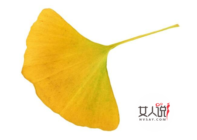 你知道银杏叶片的功效与作用吗?快来看看!