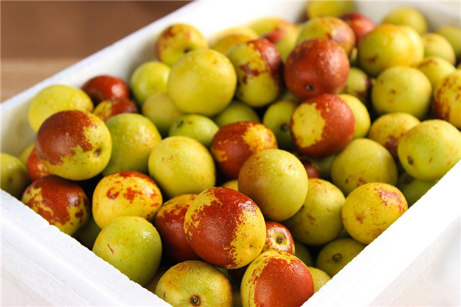 吃冬枣能减肥吗 冬枣再爽甜可口也不能贪吃哦