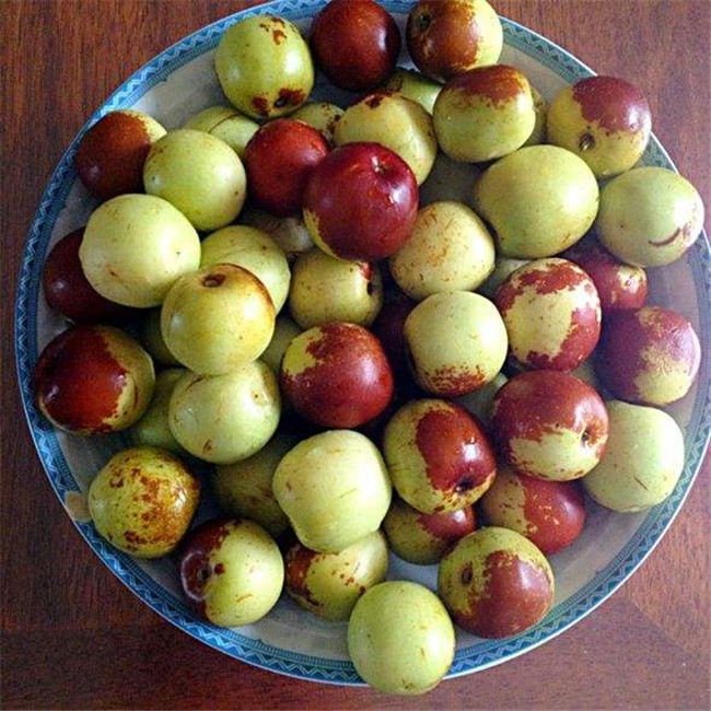 吃冬枣能减肥吗 冬枣再爽甜可口也不能贪吃哦