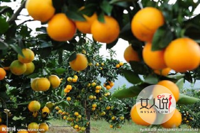 橙子会上火?看看关于橙子的那些认知误区,你中了吗?