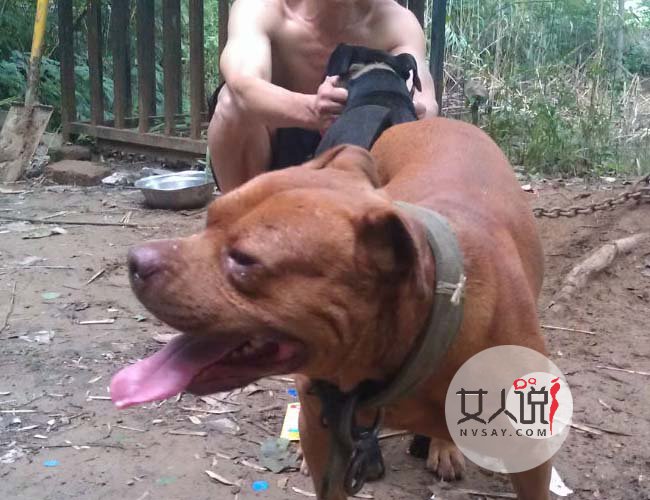 男子杀死母狗奸尸 脑子错乱扑倒四肢做不雅动作