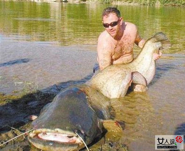 英国爆发2亿老鼠 南瓜般大小体型老鼠遇人即袭