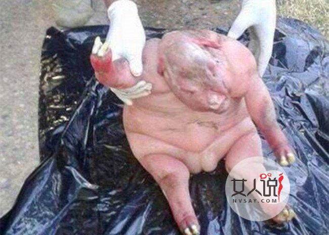南非惊现地狱怪胎 来自地狱的怪物背后真相令人震惊
