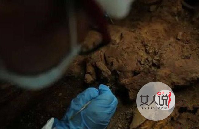 千年女尸腹藏胎儿 人骨亲子鉴定揭开背后千年的秘密