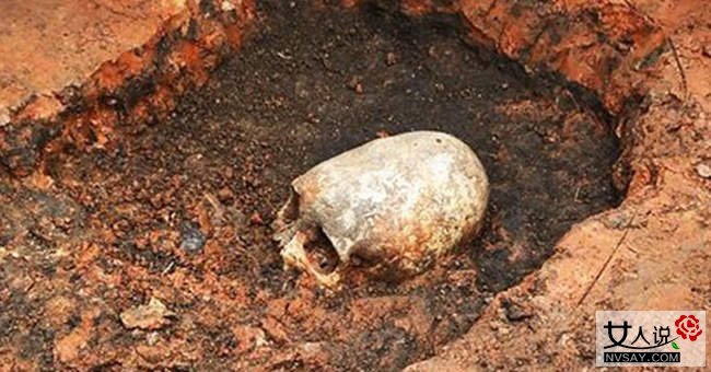 内蒙高校发现骷髅 深约一米的大坑发现骷髅头