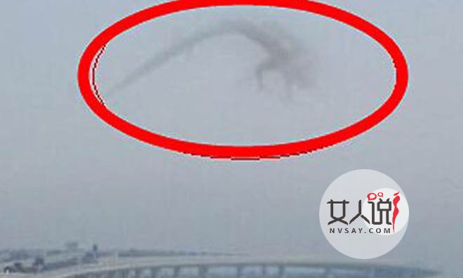 95年安徽巨蟒渡劫事件是真的吗 当地村民吓坏专家未否认真相