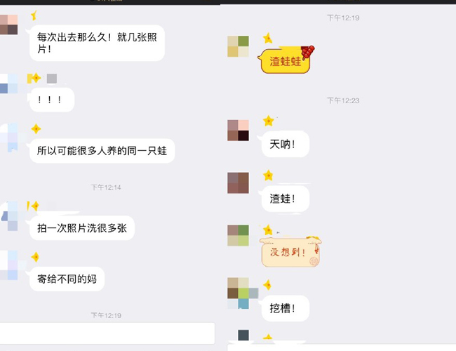 旅行青蛙是渣蛙 “国民儿子”却被叫做渣蛙是什么梗