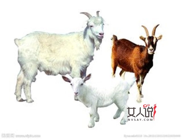 1979年属什么,你知道是什么样的命运吗?