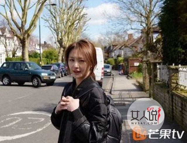 郑爽张翰,曾经恋人,要复合的节奏?