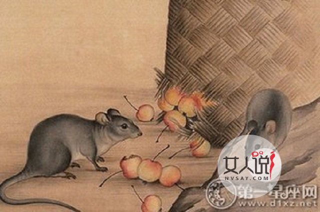 属鼠的人2018年会发财?运势大揭秘!!!千万不要错过哦!!!