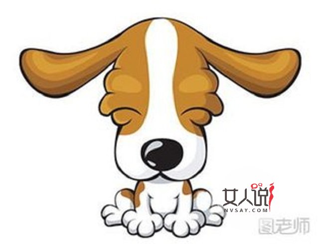 属狗的今年多大?说不定2018年会发财的哦。