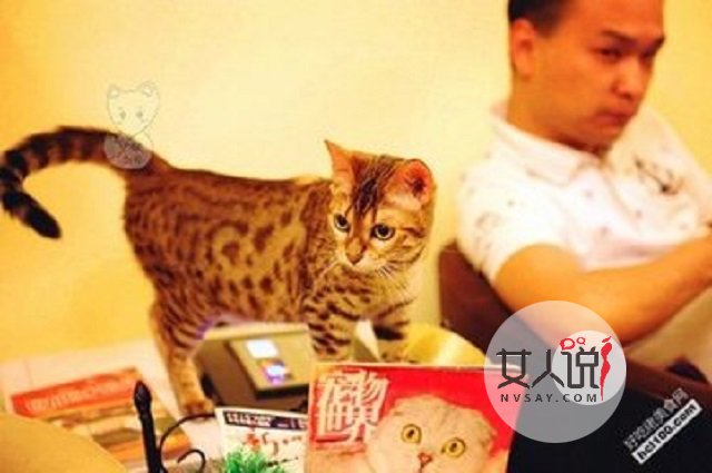 猫色场所大揭秘！！！绝对颠覆你的三观！！！