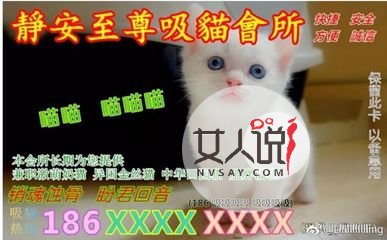 猫色场所大揭秘！！！绝对颠覆你的三观！！！