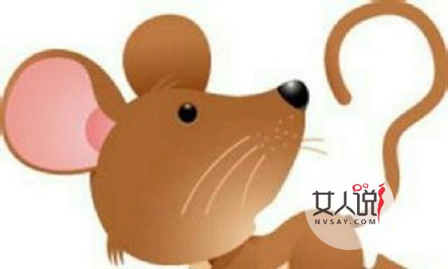 属鼠的和什么属相最相配,给你一个幸福的婚姻