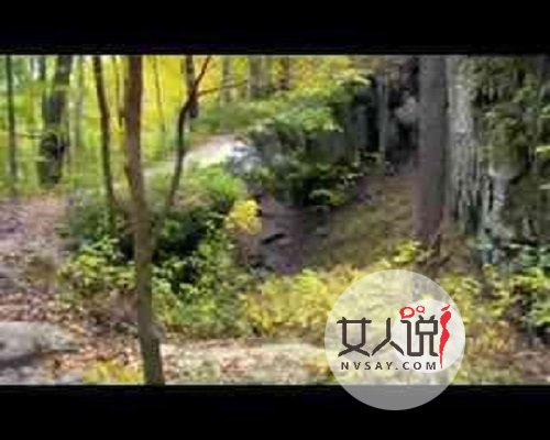 《胎教音乐100首必听》准妈妈必学教程