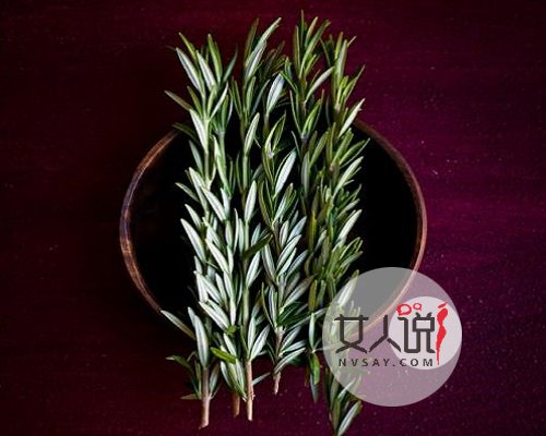 艾草的功效与作用,疑难杂症不再头疼