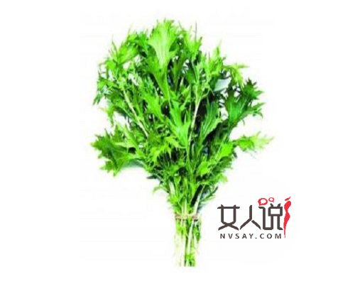 艾草的功效与作用,疑难杂症不再头疼