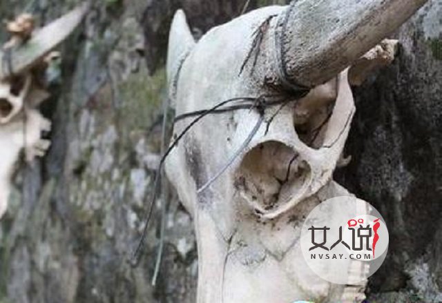 梦见死人是什么意思?这说来话长