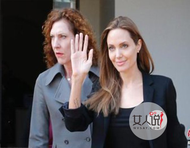 揭秘:好莱坞明星安吉丽娜朱莉信息大盘点