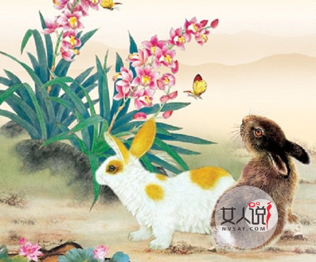 87年属什么?当然是可爱小兔兔!