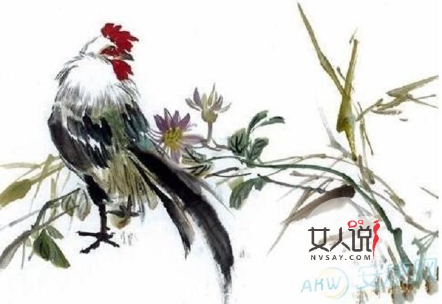 属鸡本命年已过去,2018转运大旺!